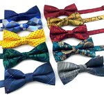 Bow Tie Manufacturer - Wholesale Wedding Paisley Designer for Men