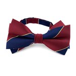 Bow Ties Manufacturer - Fashion Striped Custom Logo Polyester Woven Gift Box