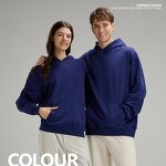 Men's Hoody Manufacturer - High Quality Heavyweight Cotton Oversized Puff Printing Luxury Pullover Custom for Winter