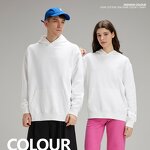Men's Hoody Manufacturer - High Quality Heavyweight Cotton Oversized Puff Printing Luxury Pullover Custom for Winter