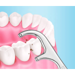 牙线生产厂家-热销不锈钢
