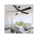 Ceiling Fan Manufacturer - Ghana 60 Inch BLDC with Lamp Remote Control 5 Blades Ceiling Fan Lights