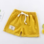 Children's Shorts Manufacturer - 2023 Boys Girls Casual Elastic Pants Summer Wearing