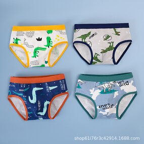 Boys Underwear Manufacturer - 2025 New Style Triangle Briefs Cotton Teenager