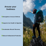 Superfood Powder Manufacturer - Own Brand Digestive Nutritional Organic