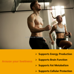 运动营养片源头工厂-左旋肉碱氨基酸能量体重