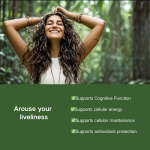 Methylene Blue Drops Factory - OEM/ODM Private Label 100ml 2% Brain