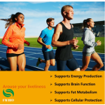 运动营养片生产商-左旋肉碱氨基酸能量体重