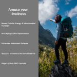 Shilajit Gummies Manufacturer - OEM/ODM Pure Natural Sports Gym Herbal