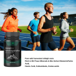 Ashwagandha Capsules Factory - OEM/ODM Hot Sale Extract for Adults