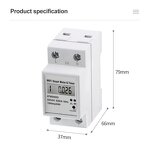 Smart Power Meter Manufacturer - Tuya Smart Life APP Control WiFi Relay Digital Electric Energy Timer Remote Control