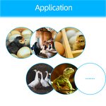 Egg Hatching Machine Manufacturer - XM-18 Digital Automatic Farm Poultry Ostrich Eggs Accessories Tools Tray Incubator Thermostat