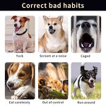 Pet Dog Training Collar Manufacturer - New Arrivals Smart Electric With Remote Waterproof Adjustable for Multi-Dog