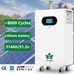 LiFePO4 Battery Manufacturer - 51.2V Rechargeable 314Ah 20KWh Hybrid Grid All-In-One 10000 Cycle IP55 Waterproof Smart BMS