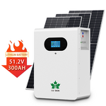 Wall-Mounted Home Battery Manufacturer - Lusen 51.2V Lithium Ion Hybrid/Off-Grid 5-10kW 100Ah-300Ah 10kWh Storage