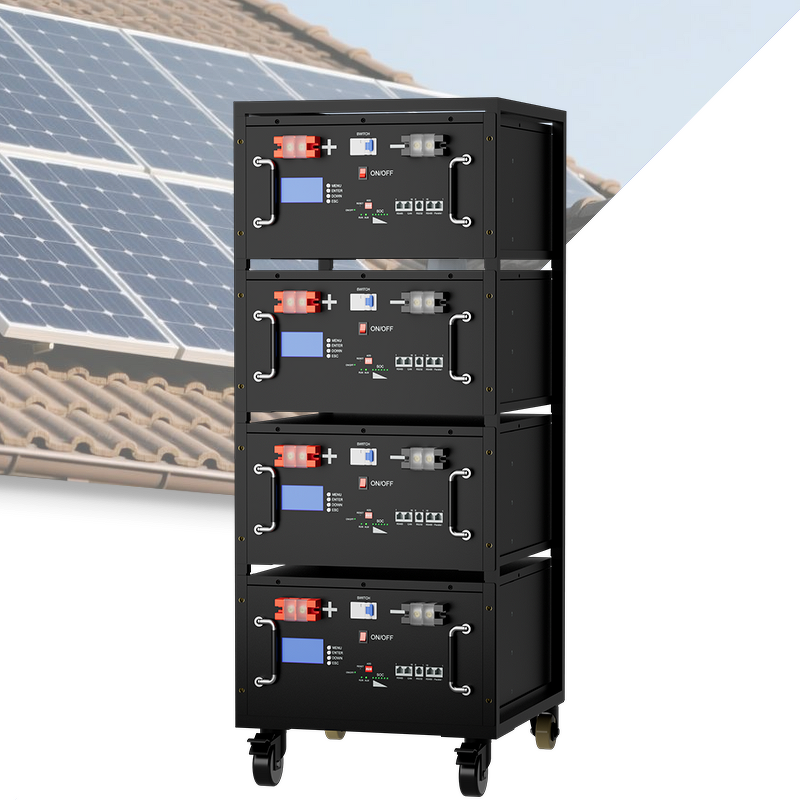 Lithium Battery Box Manufacturer - Custom DIY Lusen 100Ah Prismatic with BMS LCD Metal Case