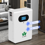 Wall Mounted Battery