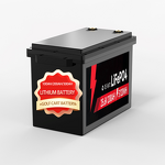 LiFePO4 Battery Pack Manufacturer - 12V 100 120 135 200Ah for Golf Cart RV Campers Built-in Bluetooth 6000 Cycles