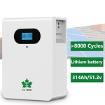 Solar System Manufacturer - Lusen 51.2V Lithium Iron Phosphate Hybrid/Off-Grid Wall-Mounted Smart BMS CAN/Bluetooth/WiFi IP65