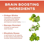 Vitamins Nootropic Brain Booster Supply Capsules Caffeine-Free Memory Focus Supplements Brain Booster Capsules