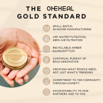 Hot Selling Organic Skin Management Advanced MSM Formula Tablets Collagen Skin Health Zinc Tablets
