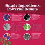 Fertility Support Gummies for Women Hormonal Balance & Conception for Her, Prenatal Vitamins Female Fertility Support Gummy
