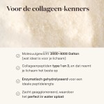 Hot Sale Original Collagen Powder Peptides Beauty for Adults Easy Dissolution Hydrolyzed Collagen Peptides Protein Powder