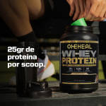 OEM Whey Protein Powders Sports Recovery Supplements Muscle Whey Protein Powders