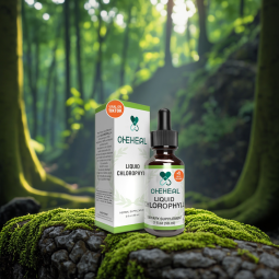 OEM Organic Chlorophyll Liquid Drops Healthcare Supplement Chlorophyll Liquid Drops Support Boost Energy Antioxidant Liquid