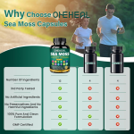 Wholesale Price Sea Moss Black Seed Oil Bladder Wrack Turmeric 16-in-1 Supplements Joint Support Sea Moss Capsules