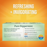 Hot Selling Mint Tea Pure Peppermint Herbal Tea Fresh Minty Flavour for Hot Iced Mint Herbal Tea