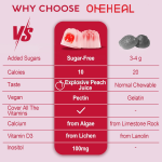 Customizable Flavors Sugar-Free Multivitamin Gummies for Women OEM Natural Multivitamin Gummies