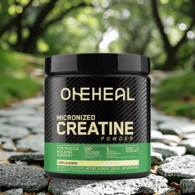 High Quality Creatina Monohidratada Bulk Energy Drink Powder High Purity Creatine Micronized Powder