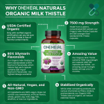 Low Price Milk Thistle Capsules  Herbal Liver Cleanse Supplement Milk Thistle Capsules