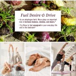Wholesale Prices Natural Maca Root Gummies Herbal Supplements Maca Gummy Energy Support Hormone Balance Maca Root Gummy