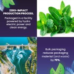 High Quality Organic Spearmint Herbal Tea Keep Healthy Herbs Pure Spearmint Green Tea