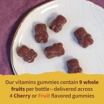 Organics Vitamin Zinc Bear Multivitamin Gummy Ertified Vegan Kids Gummy Vitamins Real Fruit Multivitamin Gummies