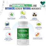 Custom ODM/EDM Slimming Capsule Weight Loss Herbal Supplements Capsule for Weight Loss Capsule