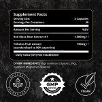 Naturally Maca Root Capsules Herbal Supplements for Women's Hormone Balance &  Mood Support Energy Vegan Capsules