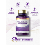 Private Label Probiotic Capsules Vegan Digestive Support and Gut Health Prebiotics Supplement Capsules