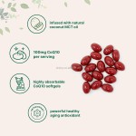 Factory OEM Co-enzyme Q10 Softgel Antioxidant Support for Heart Energy Coenzyme Q10 Softgels