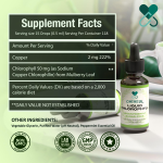 OEM Organic Chlorophyll Liquid Drops Healthcare Supplement Chlorophyll Liquid Drops Support Boost Energy Antioxidant Liquid