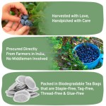 Private Label Good Price Premium True Blueberry Fruit Tea Handpick Wild Blueberry Herbal Tea Bags