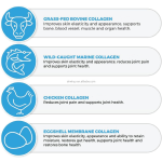Naturally Derived Hydrolyzed Collagen Powder Multi-Collagen Peptides Powder Hyaluronic Acid Collagen Peptides Powders