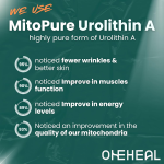 Mitopure A+ Advanced Longevity Formula Capsules Rewind Urolithin Supplement Cellular Anti-Aging Nutritional Support Capsules