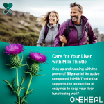 Immunity and Protect Liver Containing Liver Protection Capsules Extract for Detox Repair Cleanse Liver Protection Capsules