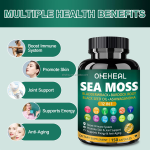 Natural Sea Moss Capsules Black Seed Oil Herbal Supplements Wildcrafted Sea Moss Raw Capsules
