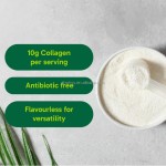 Private Label Collagen Powder Sports Nutrition Hydrolyzed Collagen OEM Protein Powder Multi-Collagen Powders