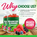 100% Organic See Moss Gummies Private Label Sugar Free Natural Immune Support Sea Moss Gummy