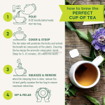 Organic Uterine Health Herbal Tea Raspberry Leaf Herbal Tea Bags Supports Healthy  Natural Herbal Menstrual Tea Bag